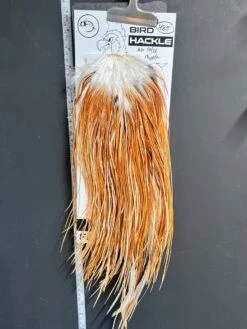 Flash Sale Hackle 485 - Yard Bird Saddle - Medium Ginger (size 16-18)