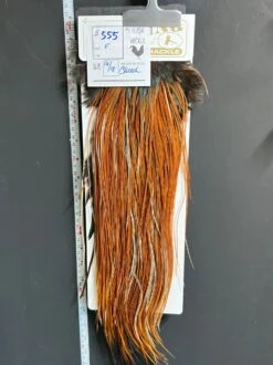 Flash Sale Hackle 555 - Heritage Saddle - Furce (size 16-18)