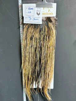 Flash Sale Hackle 560 - Heritage Saddle - Golden Badger (size 16-18)